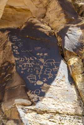 Newspaper Rock Utah June 2025